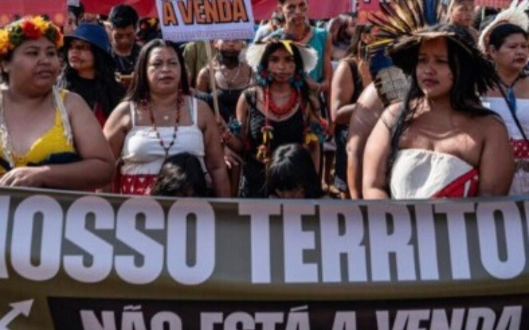 Grupo Saberes Indígenas