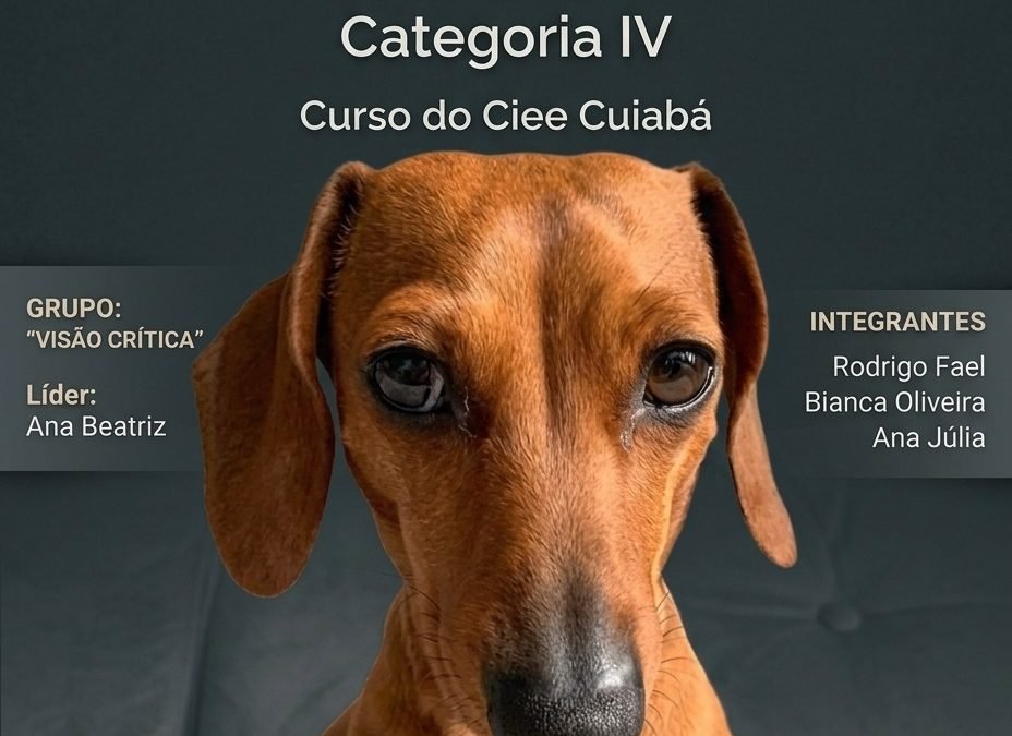 Grupo Visão crítica