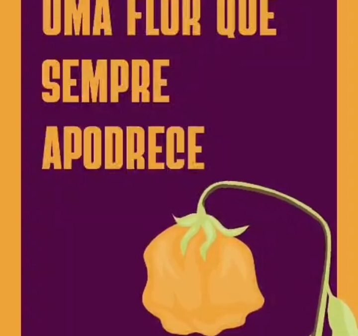 Grupo Não aceite uma flor que sempre apodrece